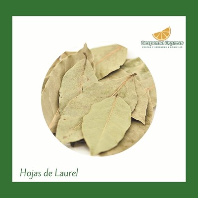 Hoja de Laurel - bolsita (0.01 Gramos)