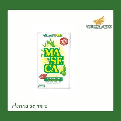 Harina de Maiz (1 Libra)