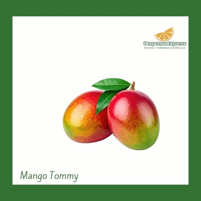 Mango Tommy