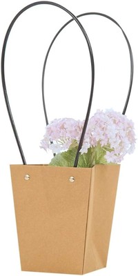 Kraft Bag w/Long Handle