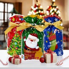 Xmas Goodie Bag-50pcs