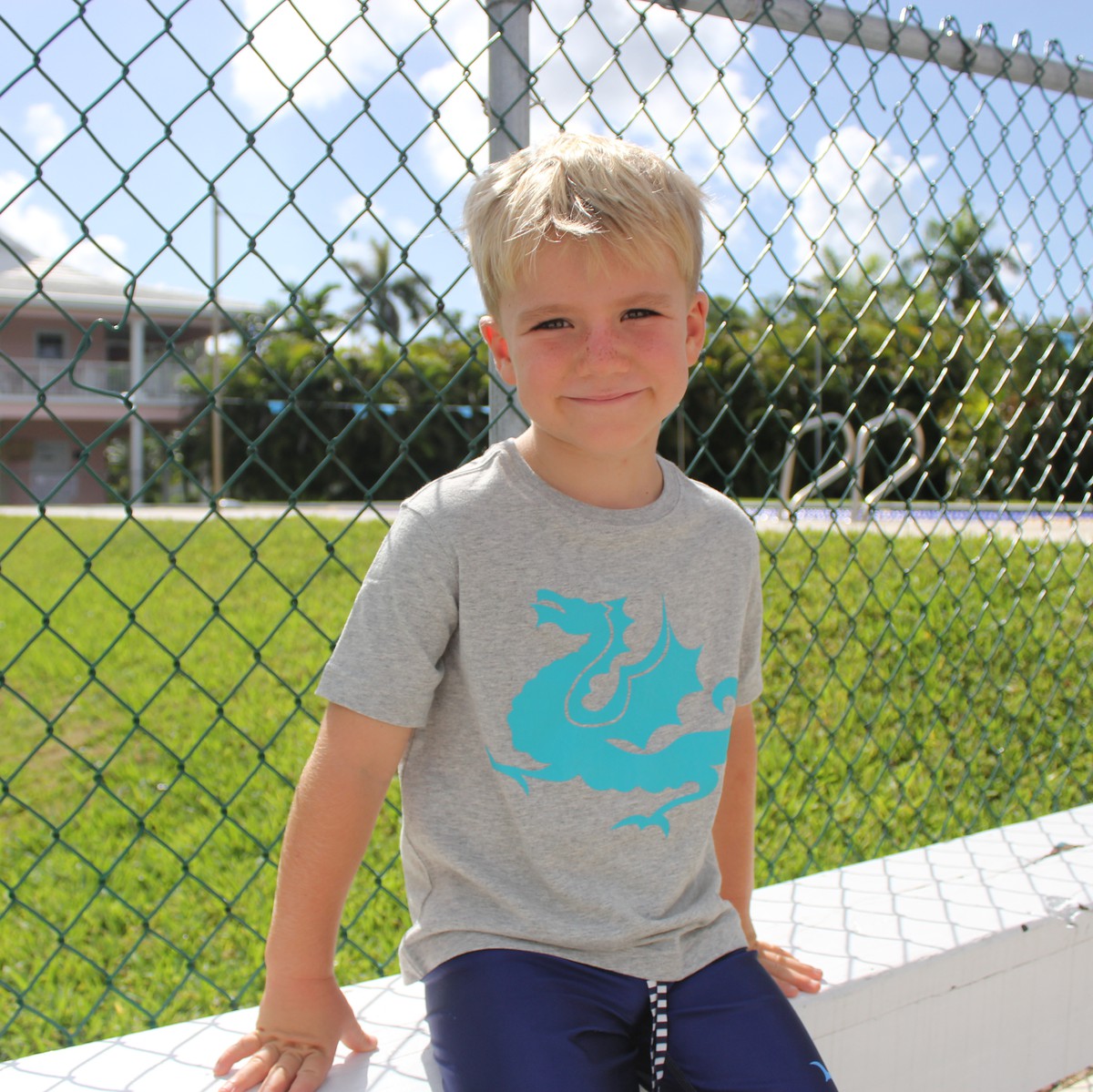 Grey Short Sleeve Dragon T-Shirt