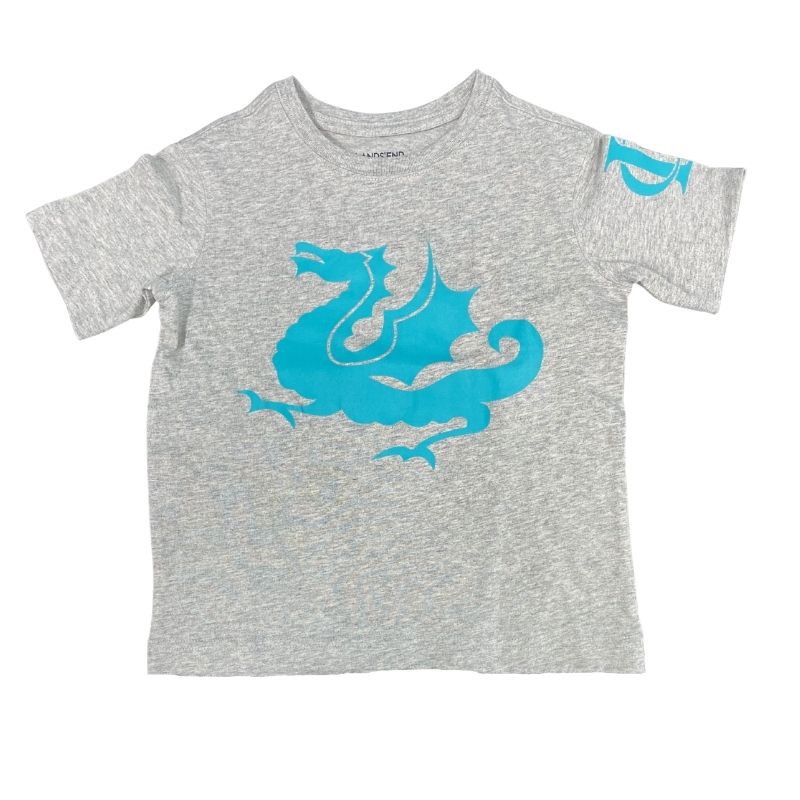 Grey Short Sleeve Dragon T-Shirt