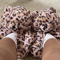 Pink Leopard Teddy Bear Slides