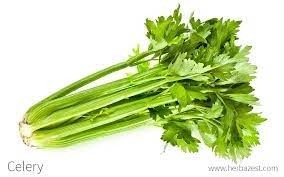 Celery - 1/2lb