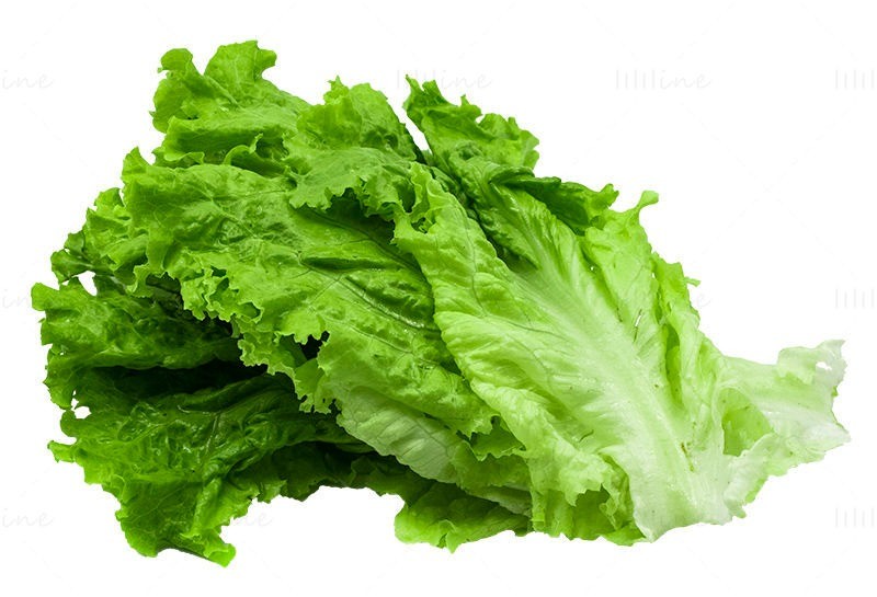 Lettuce 1lb