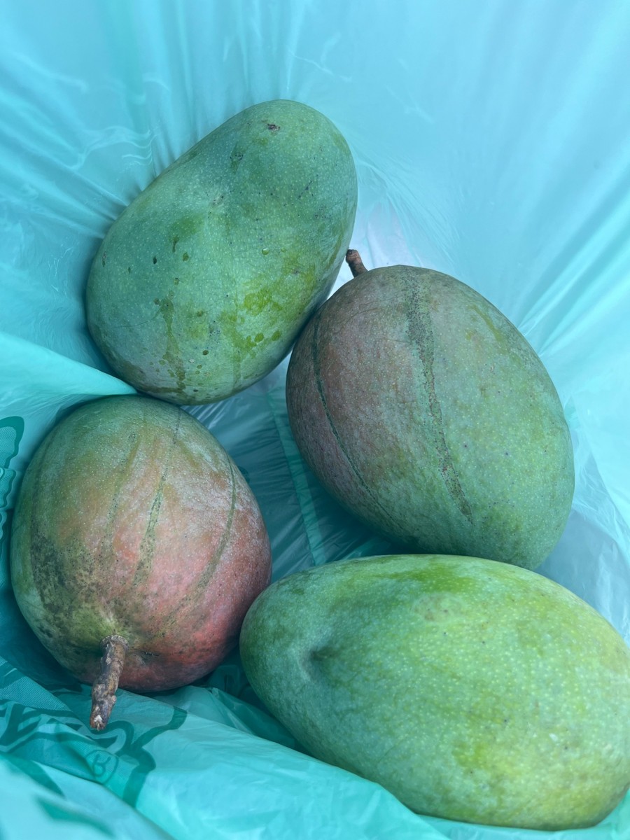 Mango Variety Box - 25 lbs