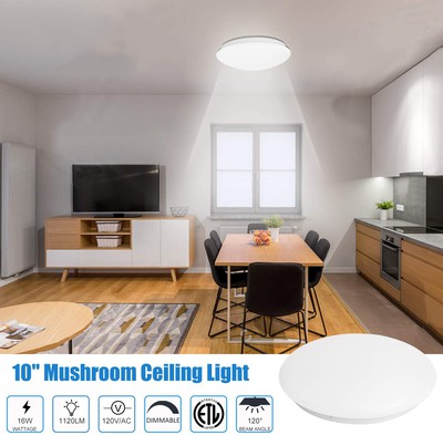 Ecolite® 16w 6000k Led Ceiling Light