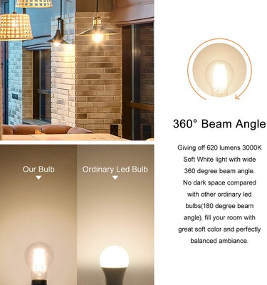 Ecolite® LED Edison Bulb Dimmable 2700k UL