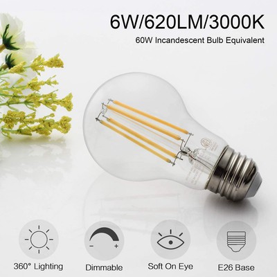 Ecolite® LED Edison Bulb Dimmable 2700k UL