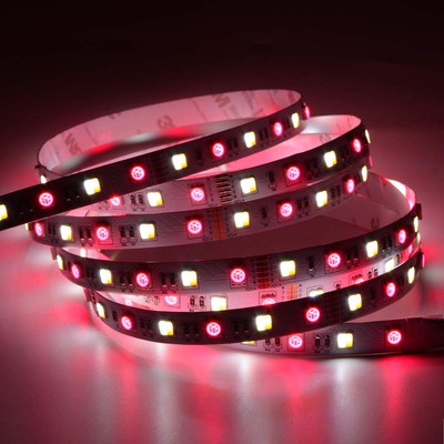 Ecolite® 12V RGB + CCT  Led Strip Light