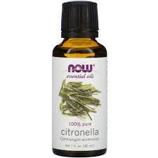 Citronella Oil