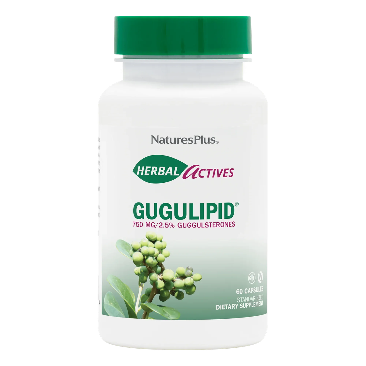 Gugulipid - NaturesPlus