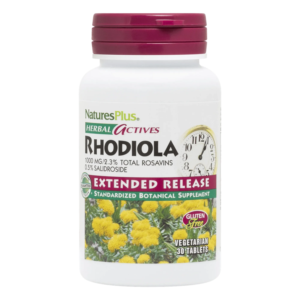 Rhodiola Extended Release - NaturesPlus