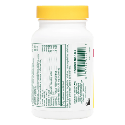 Acti-Zyme Capsules - NaturesPlus