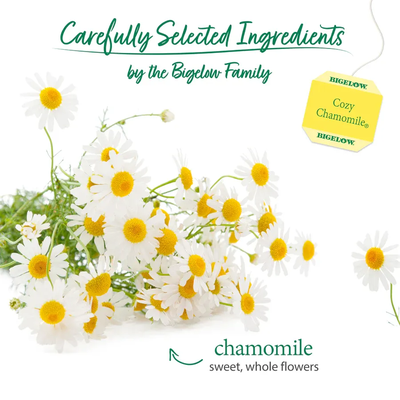 Cozy Chamomile® Herbal Tea 20 tea bags Bigelow
