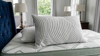 Standard Polyfibre Pillow