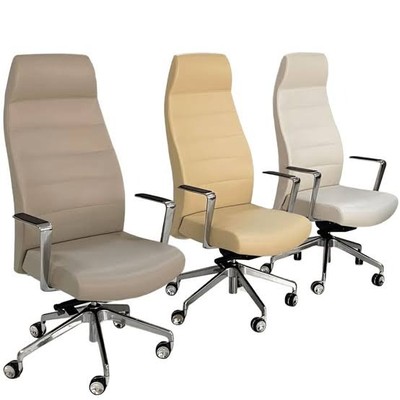 Upholstery (Office Chair)