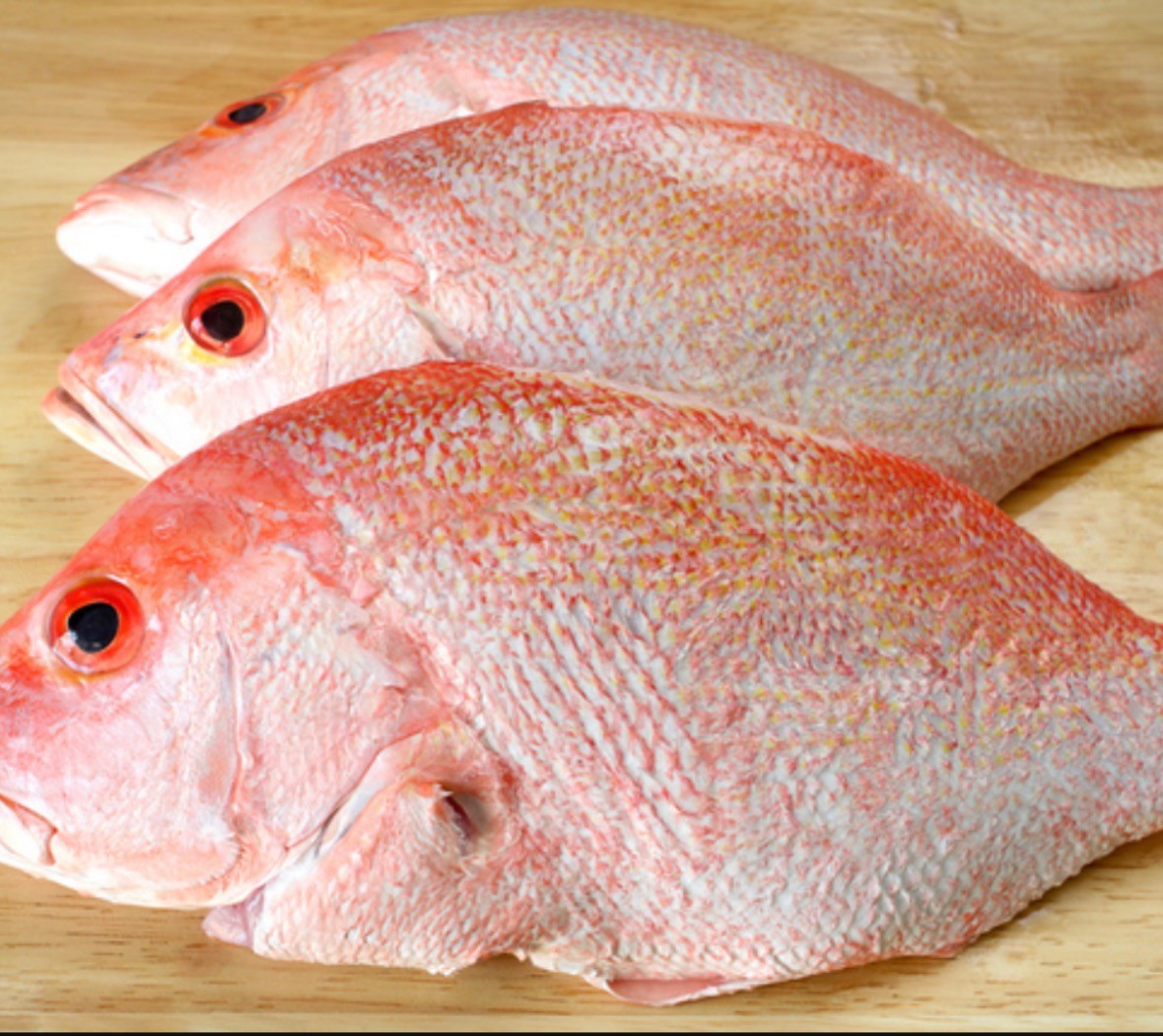 Fresh Red Snapper  bone in ( price per lbs )