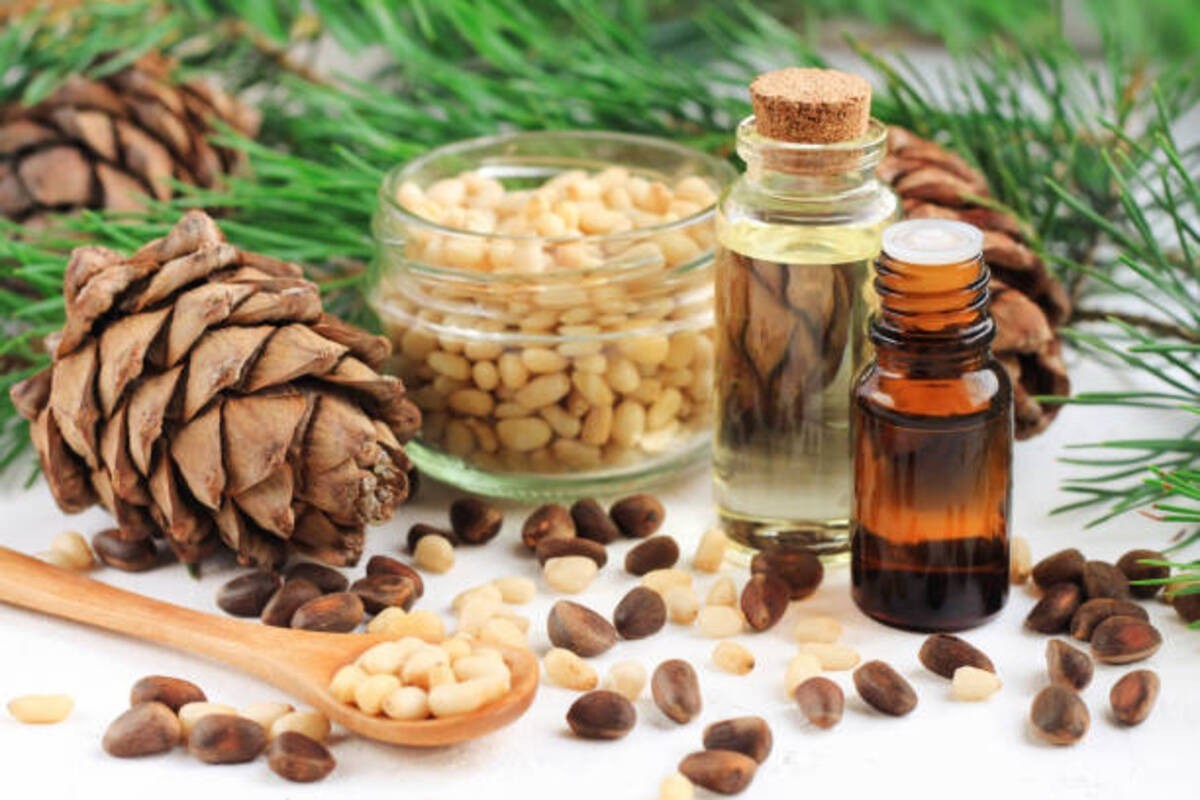 Cedarwood Essential Oil