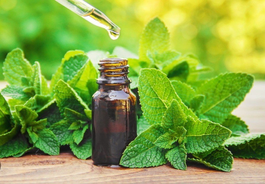 Peppermint Essential Oil