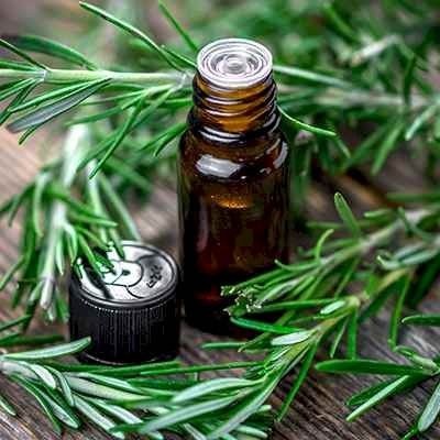 Rosemary Essential Oil