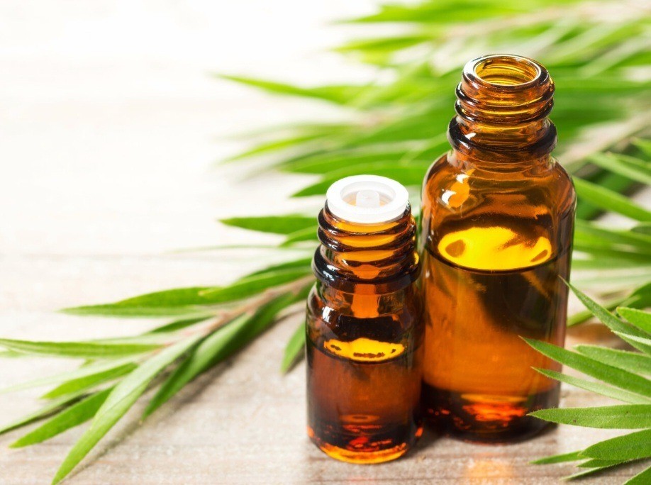 Tea tree Essential Oil