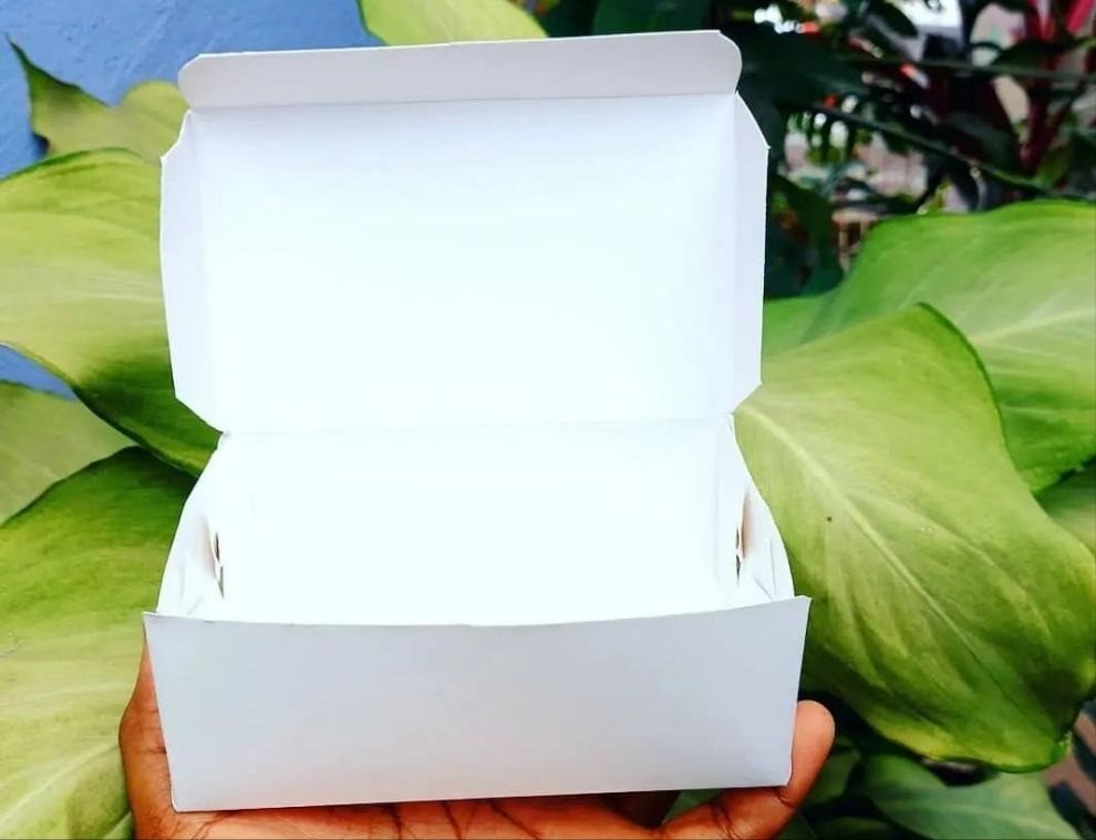 Mini Currygoat White box