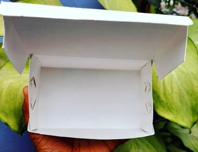 Mini Currygoat White box