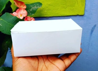 Mini Currygoat White box