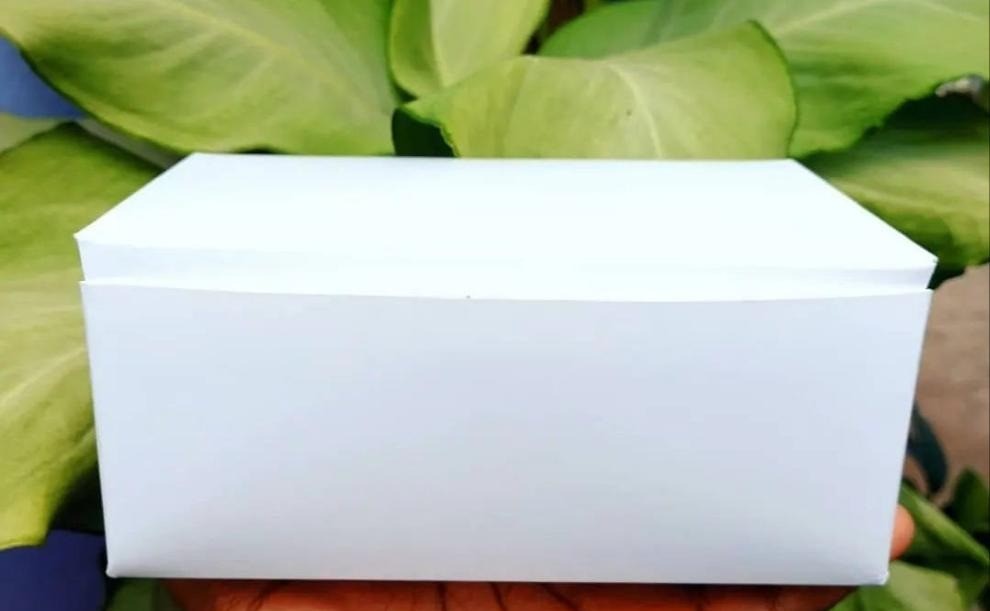 Regular Currygoat Box