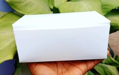 Regular Currygoat Box