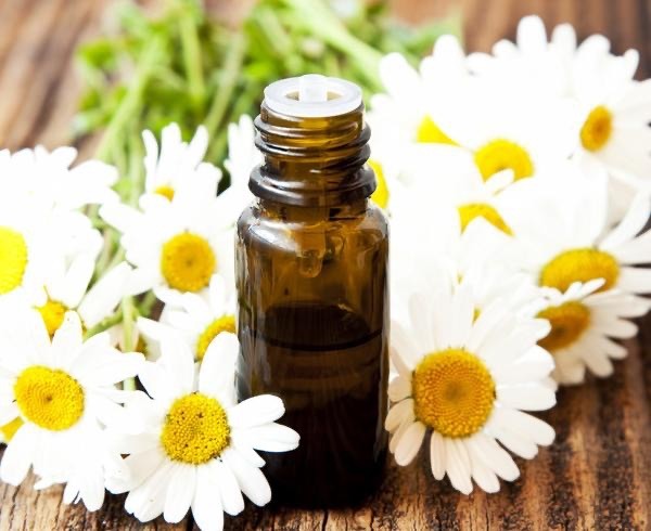 Roman Chamomile Essential Oil