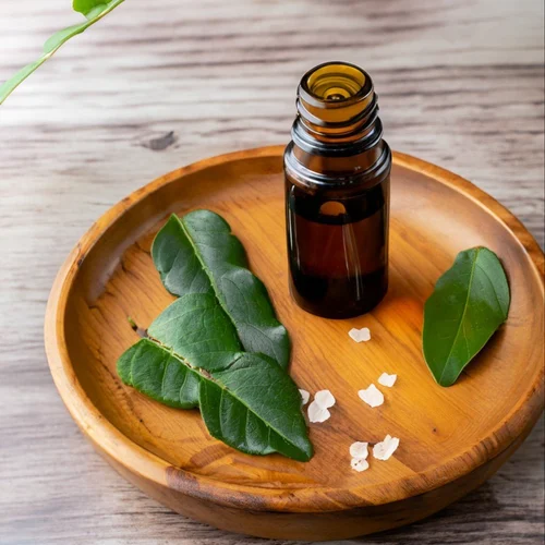 Camphor Essential Oil