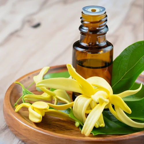 Ylang Ylang Essential Oil