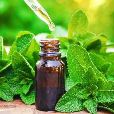 Spearmint Essential Oil