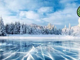 Nordic Balsam Fragrance Oil