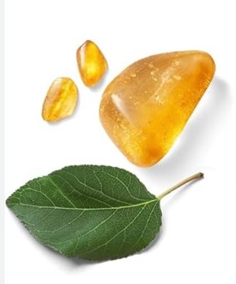 Amber Romance Fragrance Oil