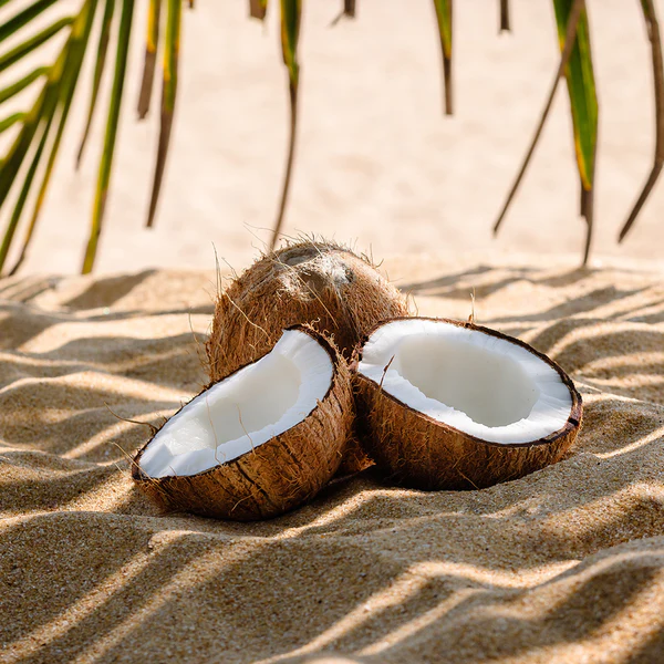 Coconut Sands Fragrance Oil