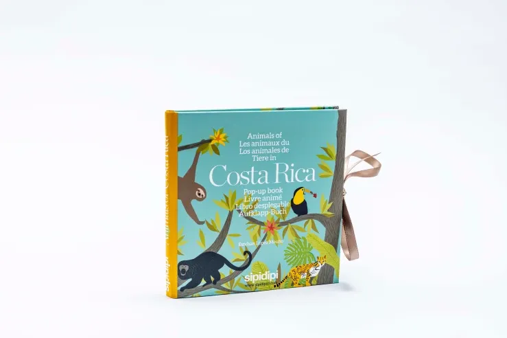 Animales de Costa Rica - Sipidipi