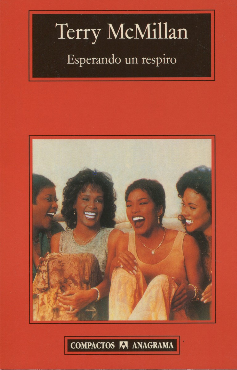 Esperando un respiro - Terry McMillan
