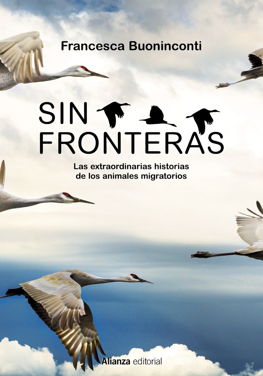 Sin fronteras - Francesca Buoninconti