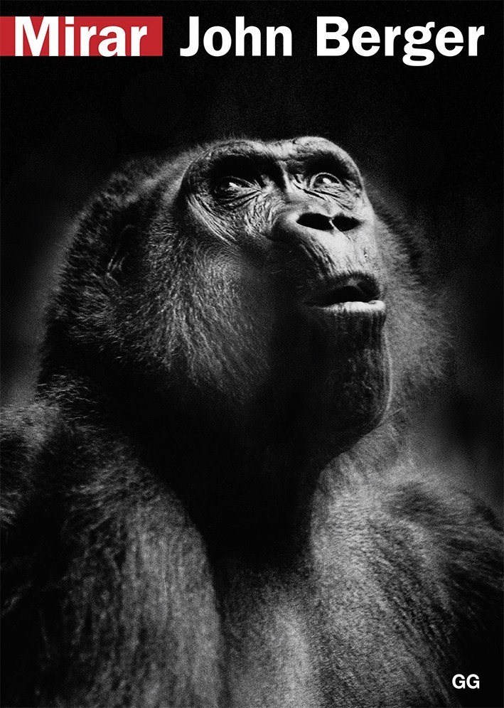 Mirar - John Berger