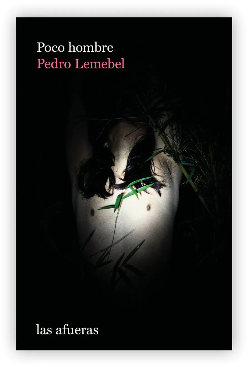 Poco hombre - Pedro Lemebel