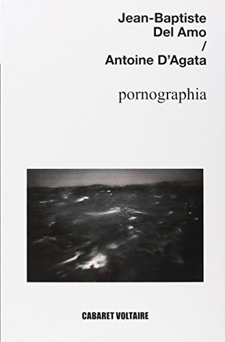 Pornographia -  Jean-Baptiste Del Amo