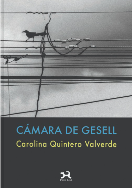 Cámara de Gesell - Carolina Quintero Valverde