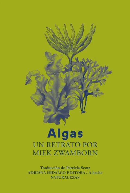Algas - Miek Zwamborn
