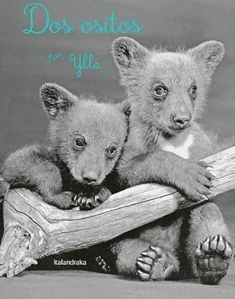 Dos ositos - Ylla