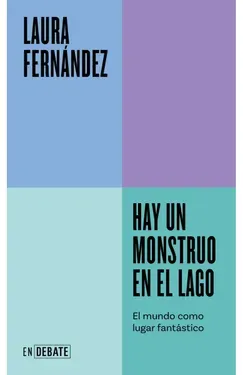 Hay un monstruo en el lago - Laura Fernández