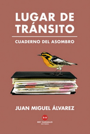 Lugar de tránsito - Juan Miguel Álvarez